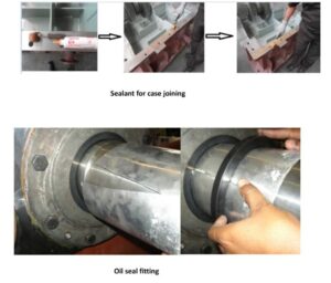 double helix impeller